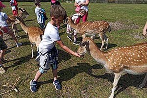  fot.Zespół Szkolno-Przedszkolny w Reszlu