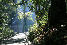 Park Miejski w Reszlu