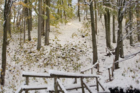 Park Miejski w Reszlu