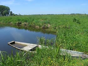 W dolinie rzeki Narew i Biebrzy można spotkać łodzie tzw. "pychówki".