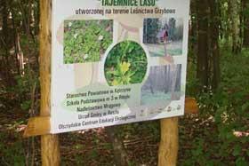 ścieżka edukacyjno - przyrodnicza „Tajemnice lasu”