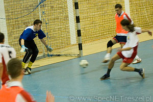Liga Halowa