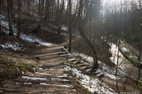 Park Miejski w Reszlu