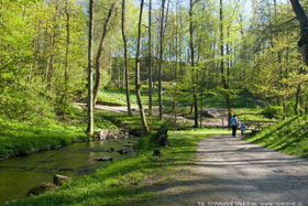 Park Miejski w Reszlu