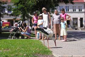 bocian przed Ratuszem w Reszlu