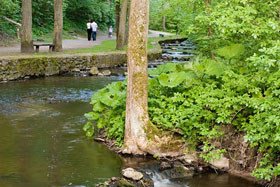 Park Miejski w Reszlu