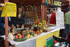 Dożynki Powiatowe - Reszel 2008