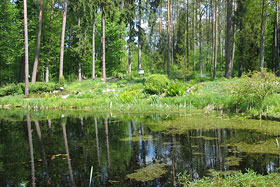 Piękne widoki są w kudypskim Arboretum.