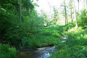 Park Miejski w Reszlu