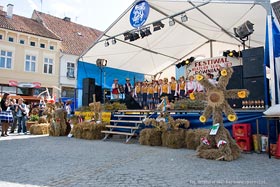 Dożynki Gminne 2009
