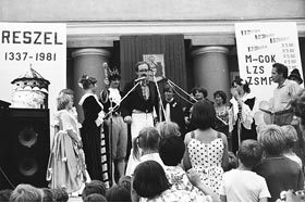 Reszenalia 1981