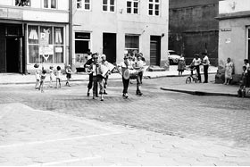 Reszenalia 1981