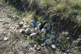 Sprzątanie Świata