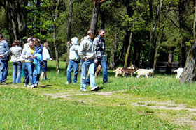 Krajobraz skansenu