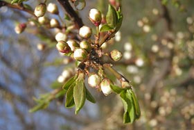 06 - Katarzyna Grzyb.