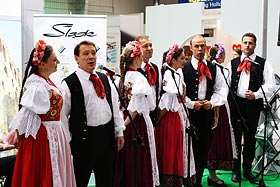 ZPiT Śląsk