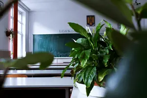 kursy przygotowawczy do matury w Olsztynie